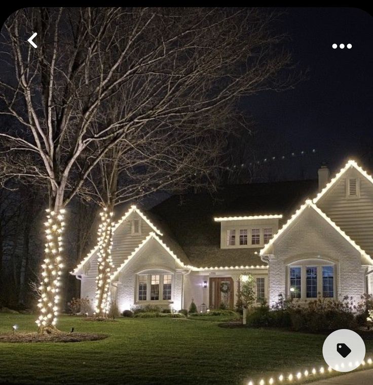 White home with warm C9 roofline lights and lit tree trunks in the front yard